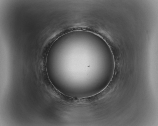 X0000114501159200910191245