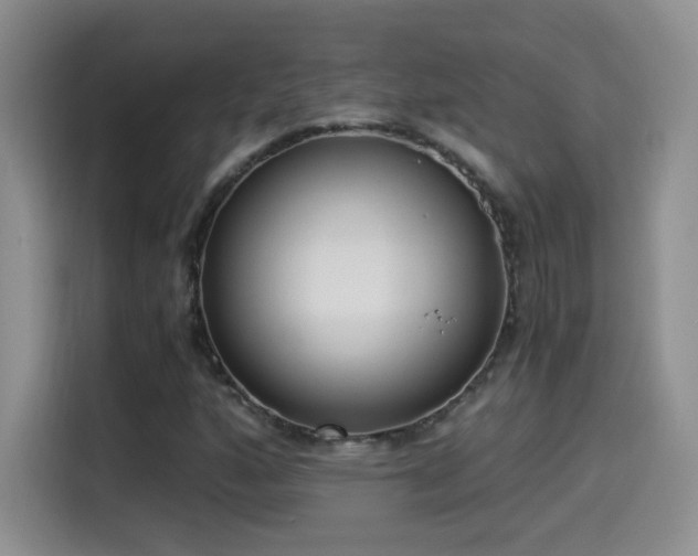 X0000114501160200910191245