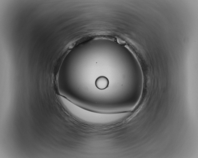 X0000114501161200910191245