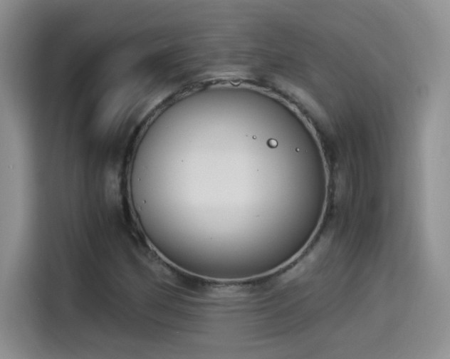 X0000114501162200910191245