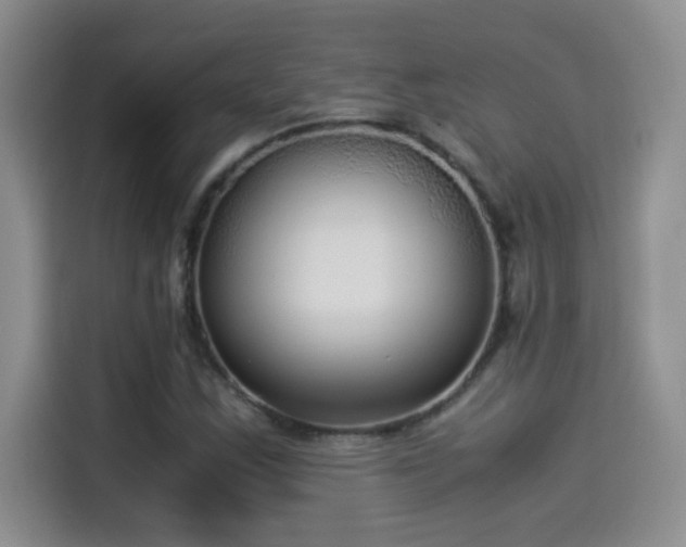 X0000114501163200910191245
