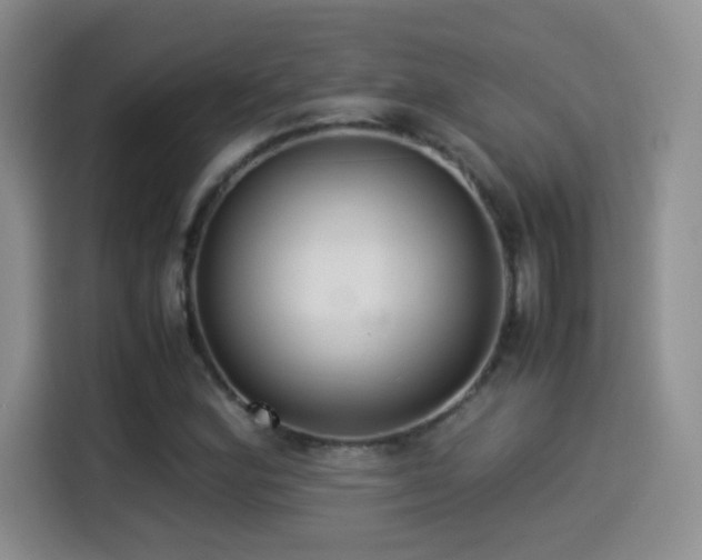 X0000114501164200910191245