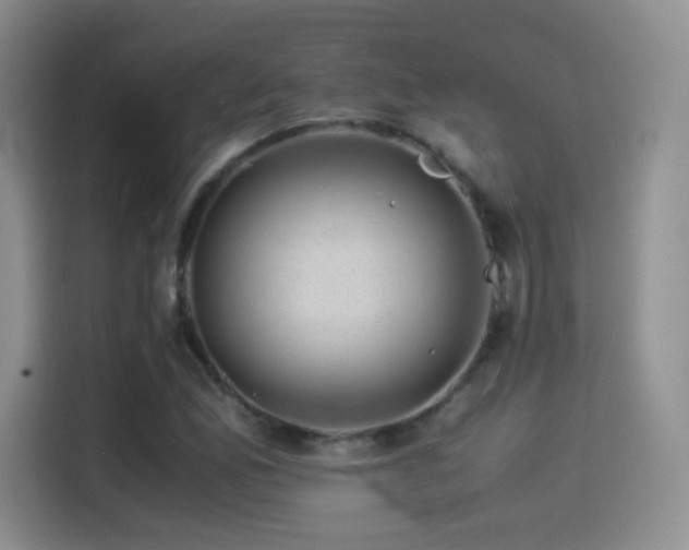 X0000114501165200910191245