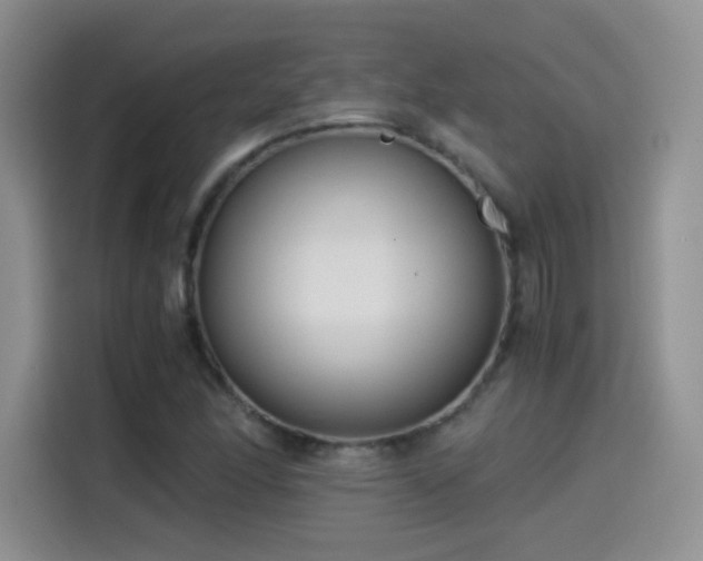 X0000114501166200910191245