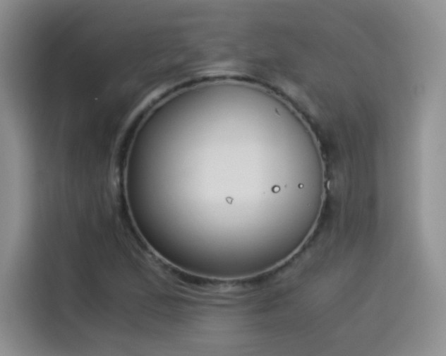 X0000114501167200910191245