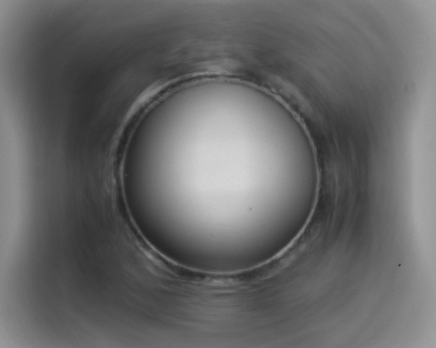 X0000114501168200910191245