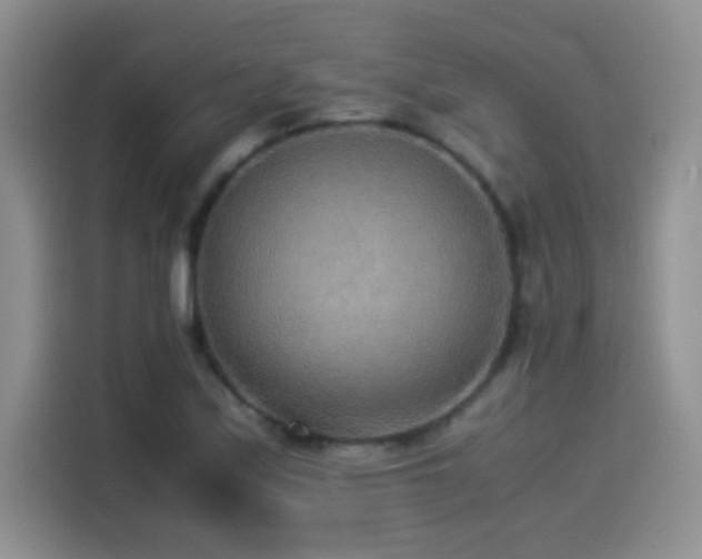 X0000114501171200910191245