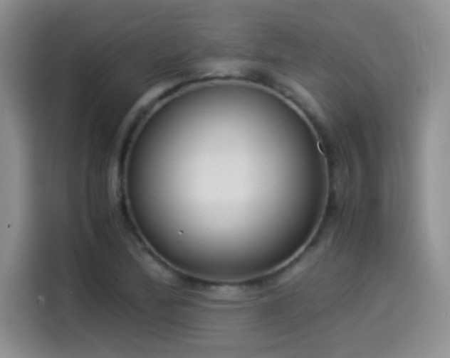 X0000114501172200910191245