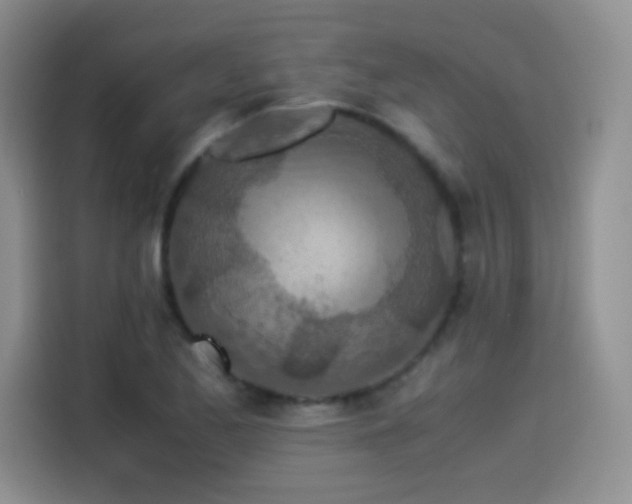 X0000114501173200910191245