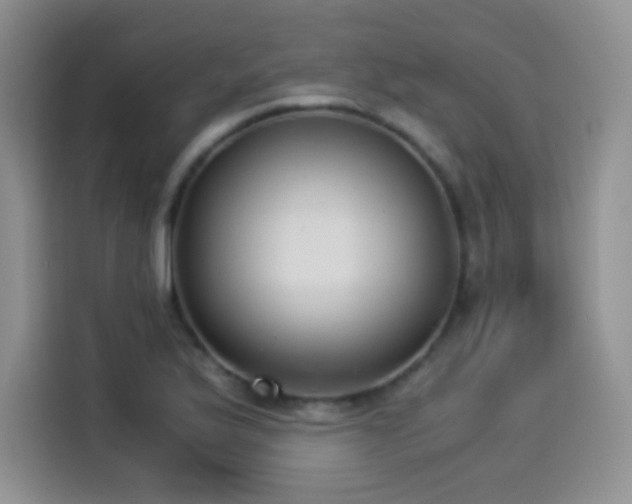X0000114501175200910191245
