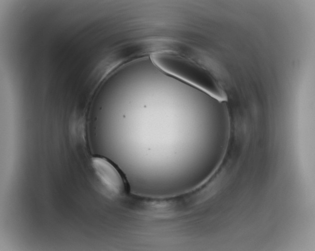 X0000114501177200910191245