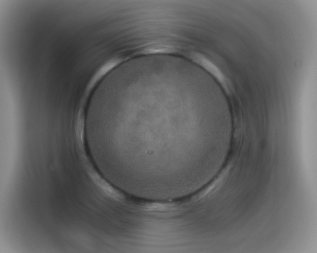 X0000114501179200910191245