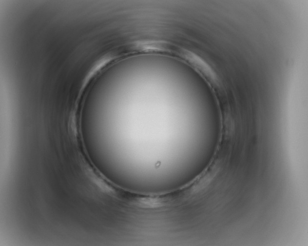 X0000114501182200910191245