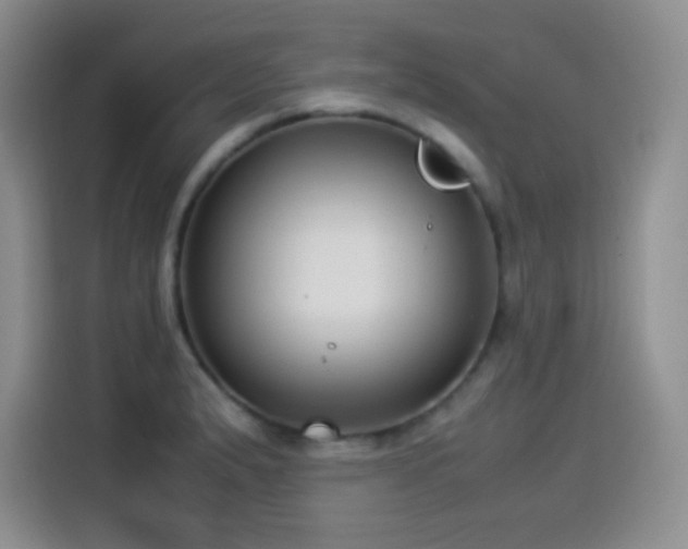 X0000114501183200910191245