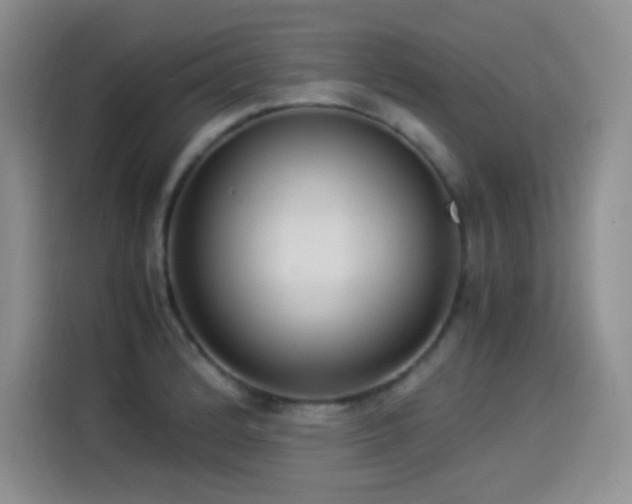 X0000114501184200910191245