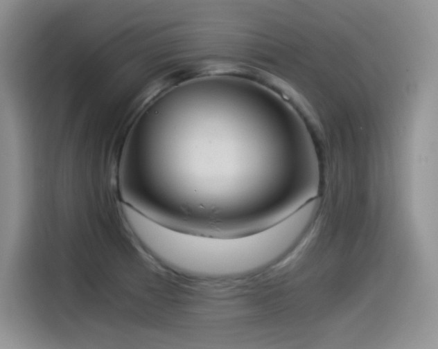 X0000114501185200910191245