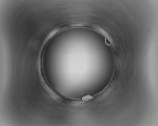 X0000114501187200910191245