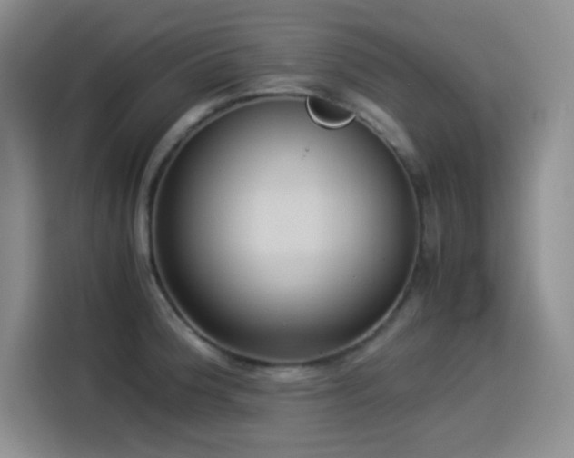 X0000114501188200910191245