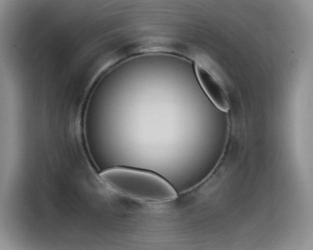 X0000114501189200910191245