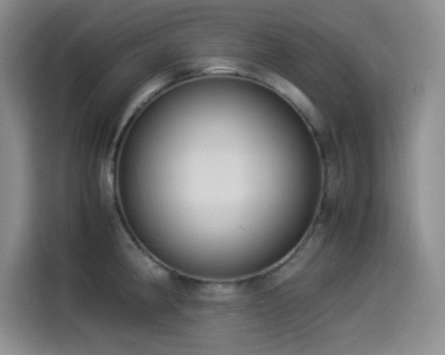 X0000114501190200910191245