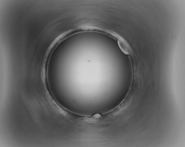 X0000114501191200910191245
