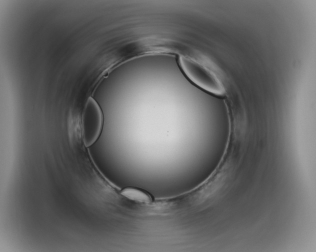 X0000114501193200910191245