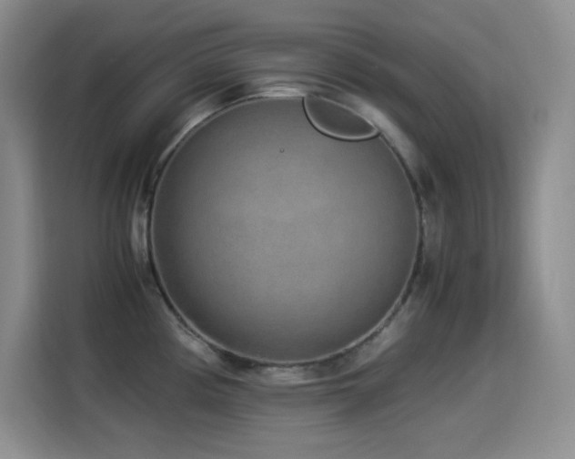 X0000114501194200910191245