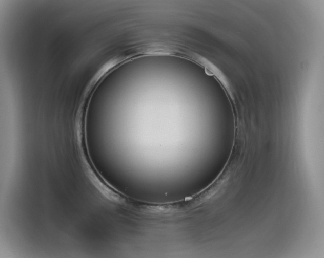 X0000114501195200910191244