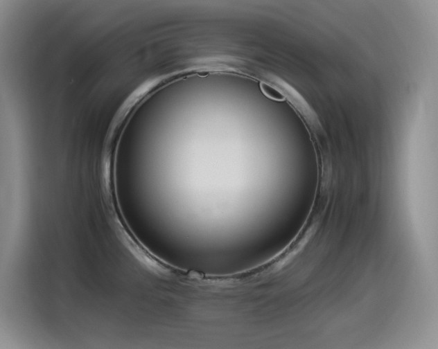 X0000114501196200910191244