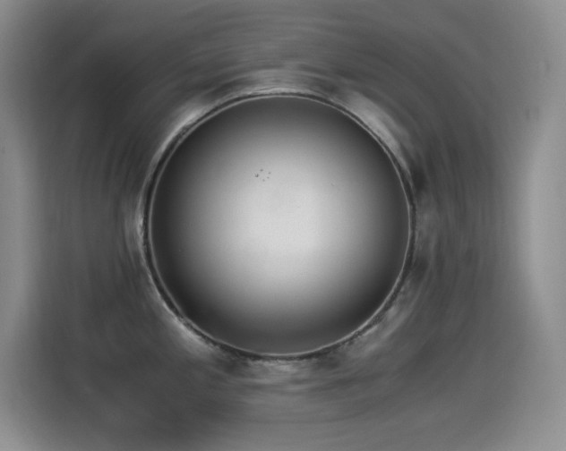 X0000114501197200910191244