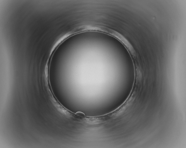 X0000114501198200910191244