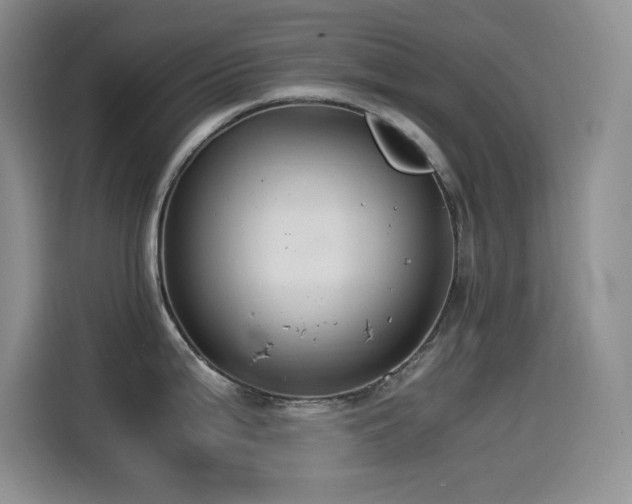 X0000114501199200910191244