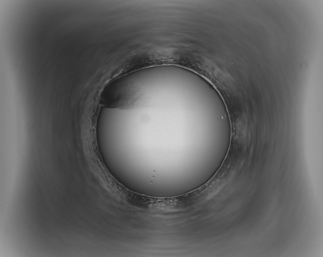 X0000114501201200910191244