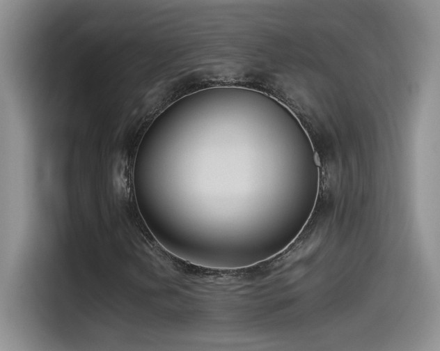 X0000114501202200910191244