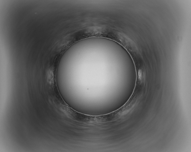 X0000114501203200910191244