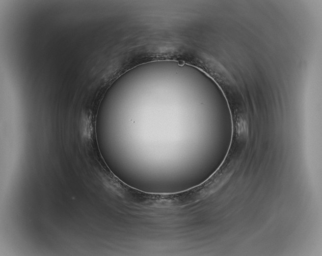 X0000114501204200910191244