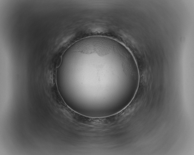 X0000114501205200910191244