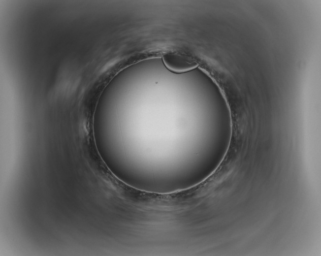 X0000114501206200910191244