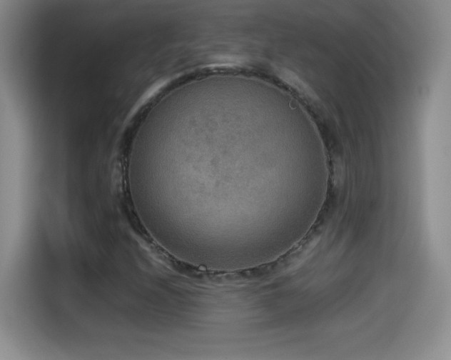 X0000114501208200910191244
