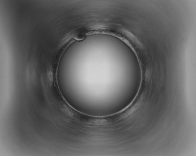X0000114501209200910191244