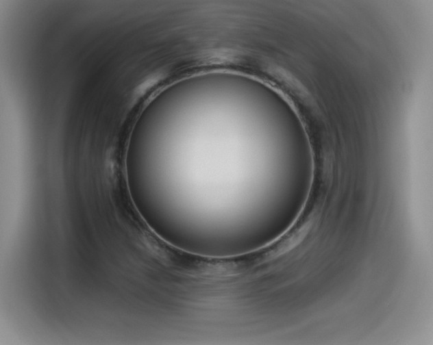 X0000114501210200910191244