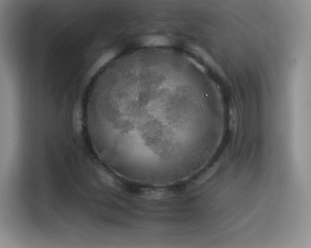 X0000114501213200910191244