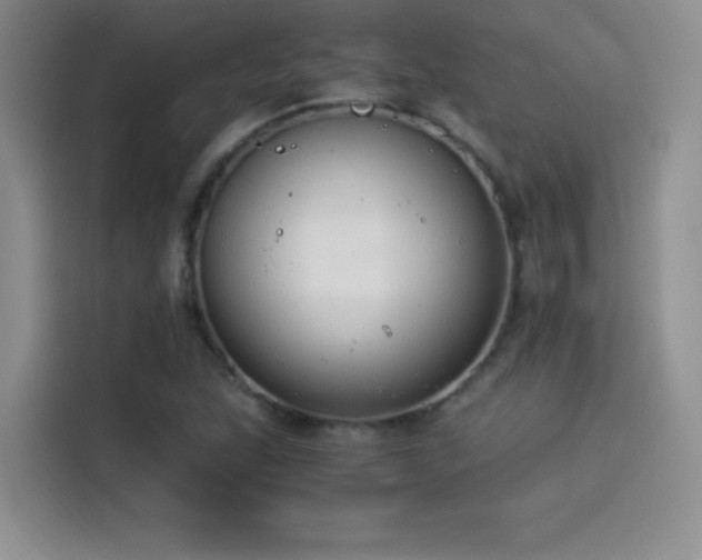 X0000114501215200910191244