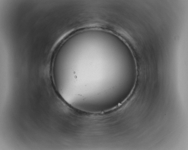X0000114501216200910191244