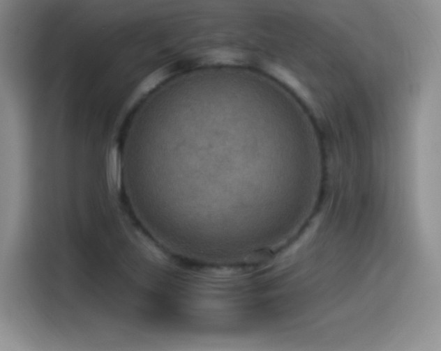 X0000114501219200910191244