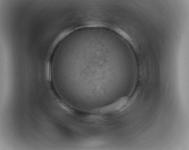 X0000114501223200910191244
