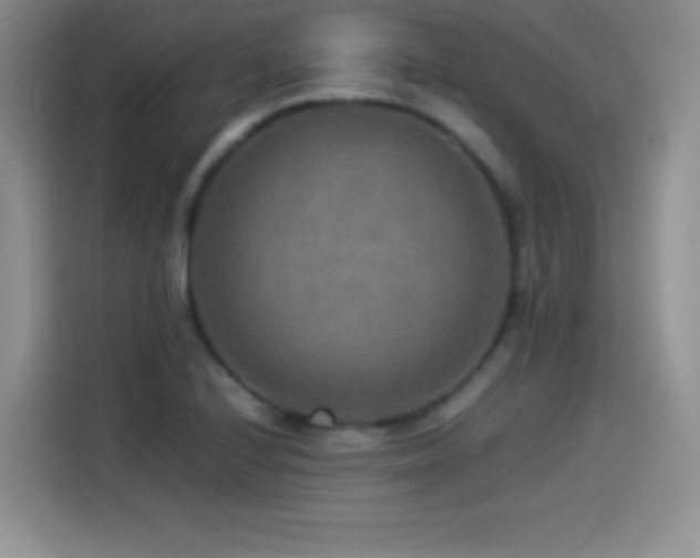 X0000114501224200910191244