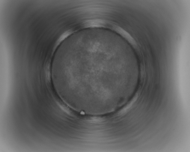 X0000114501226200910191244