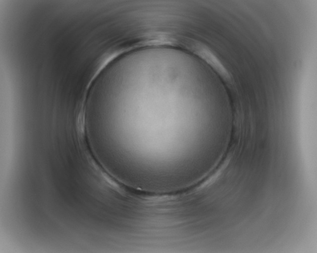 X0000114501228200910191244