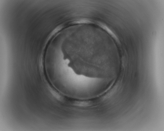 X0000114501229200910191244
